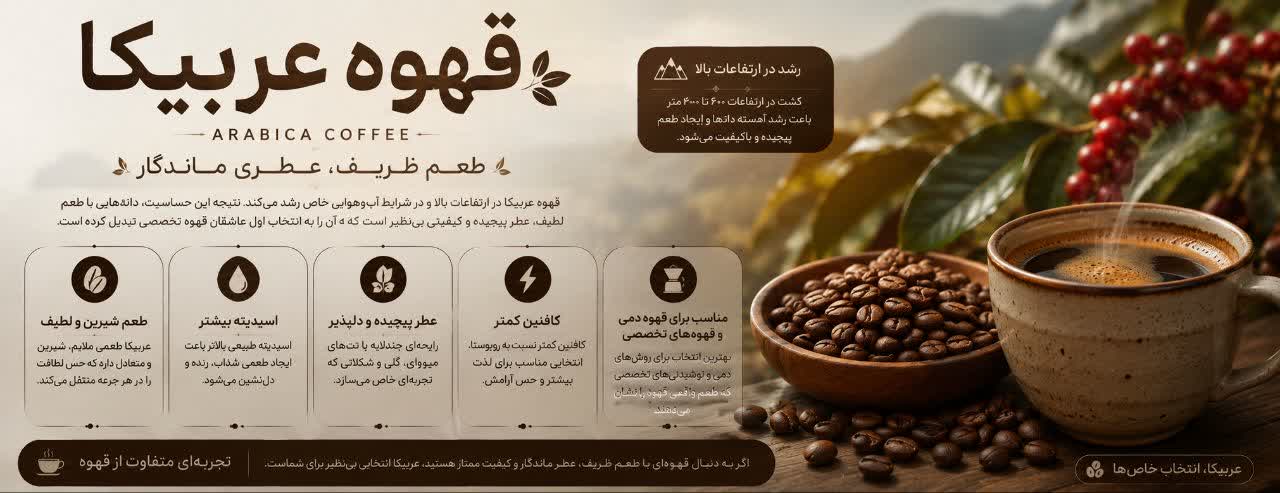 قهوه عربیکا چیست؟